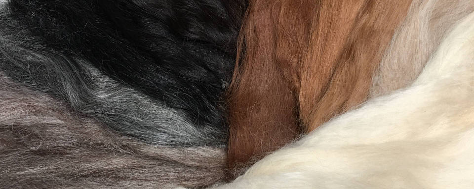 Alpaca fleece colours